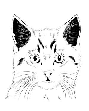 Line Art Pet Portraits