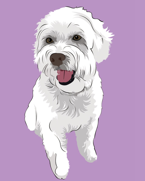 Order Modern Pop Art Pet Portraits Online