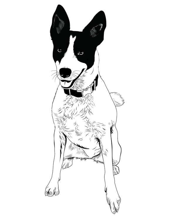 Line Art Style Pet Portraits