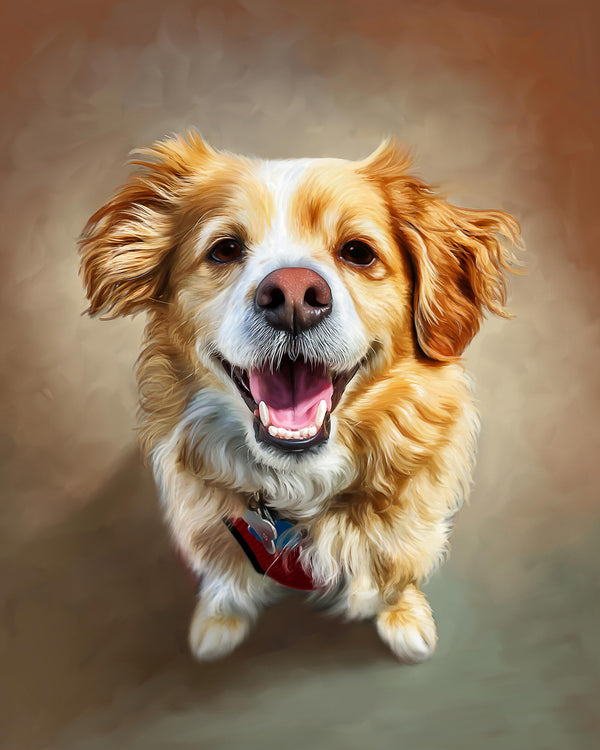 Order Digital Pet Painting Portrait