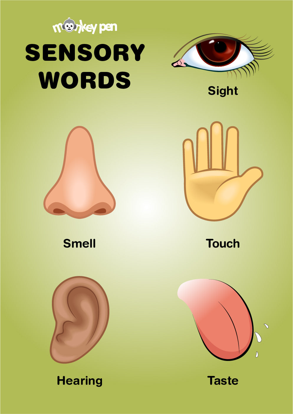 Sensory Words Poster for Kids