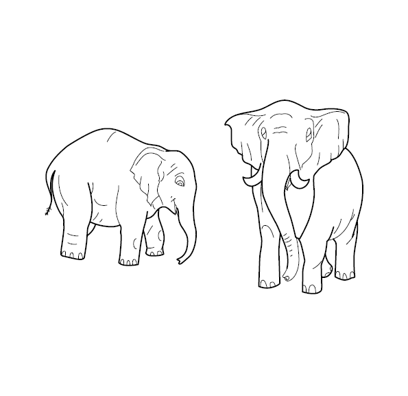 Elephant Colouring Sheet