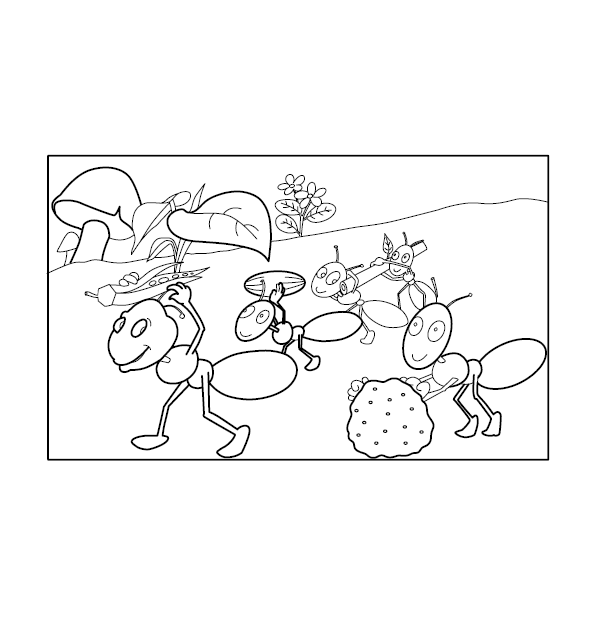 Ant Colouring Illustration