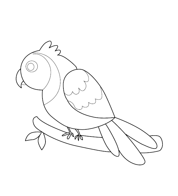 Parrot Colouring Image