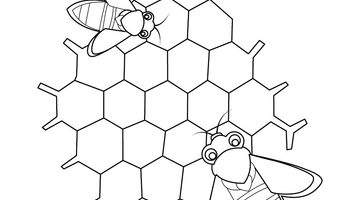 HONEYBEE COLOURING PICTURE | Free Colouring Book for Children