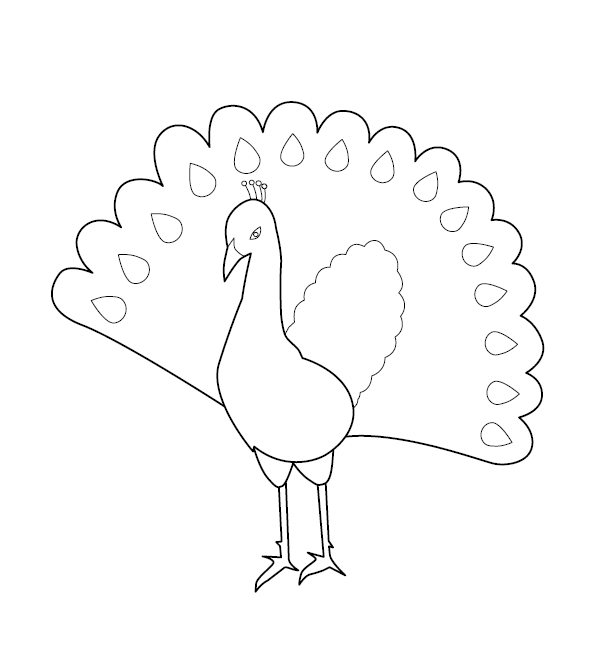 Peacock Colouring Sheet