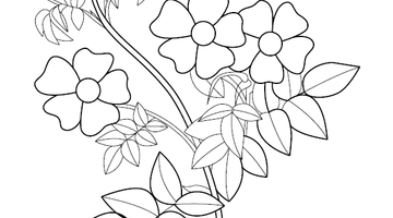 Flower Colouring Page | Free Colouring Book for Children