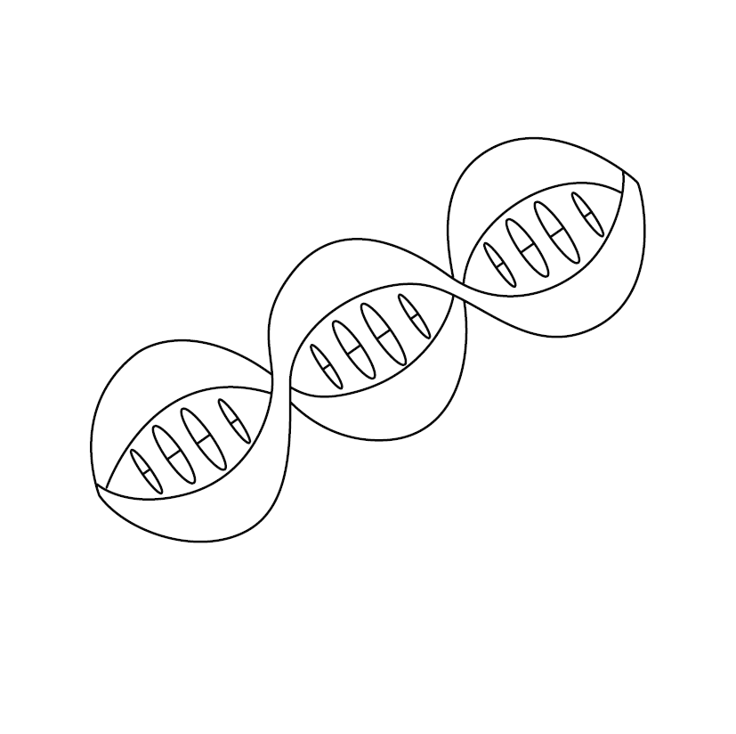 Printable DNA Structure Colouring Page