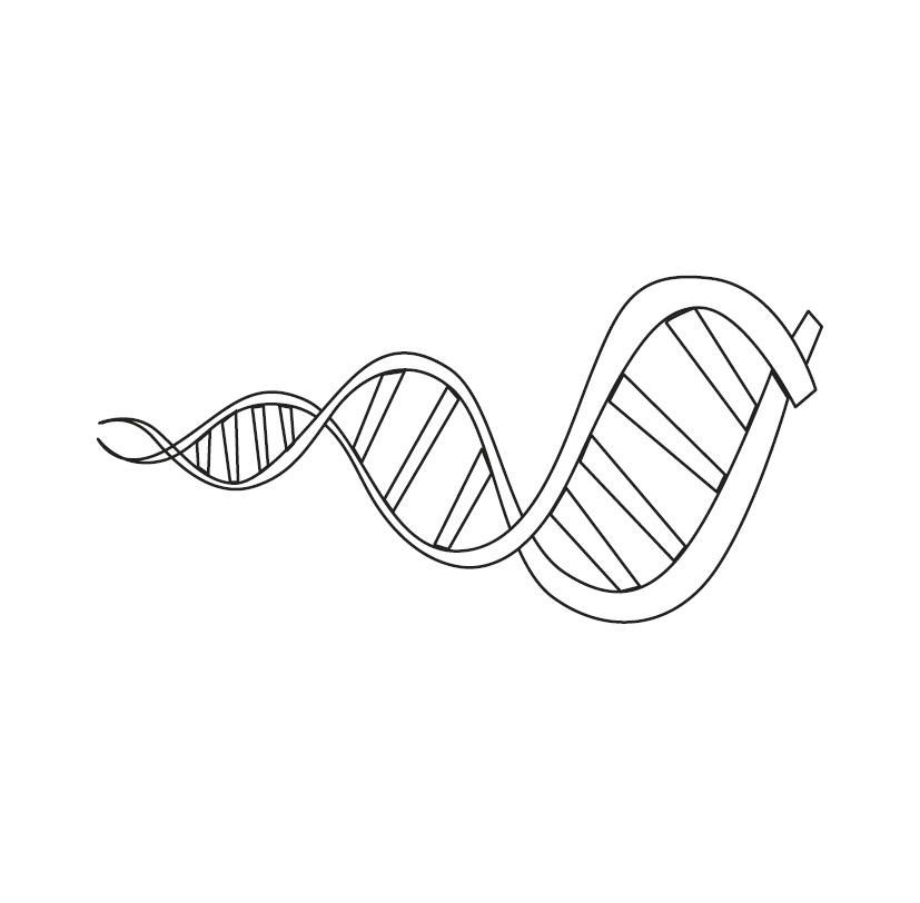 Printable DNA Structure Colouring Picture