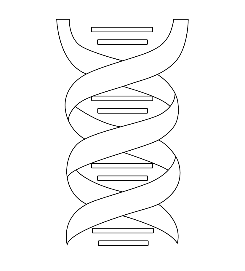 DNA Structure Colouring Picture