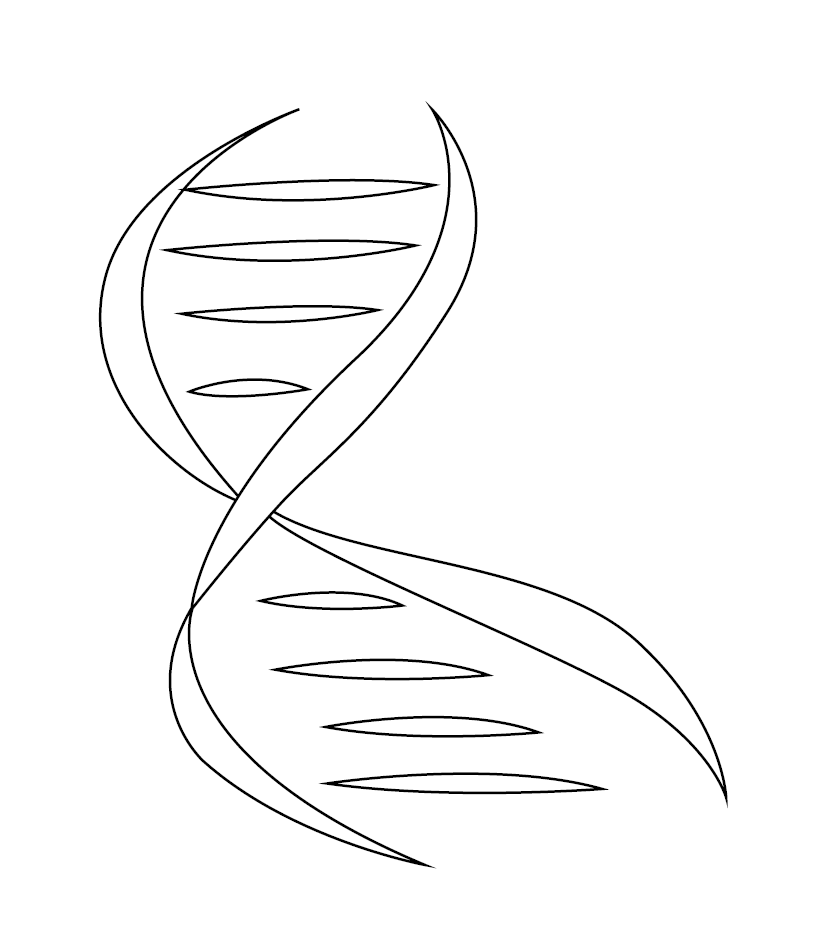 Free DNA Structure Colouring Picture