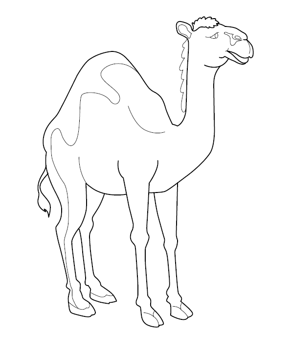 Camel Colouring Image for Kids