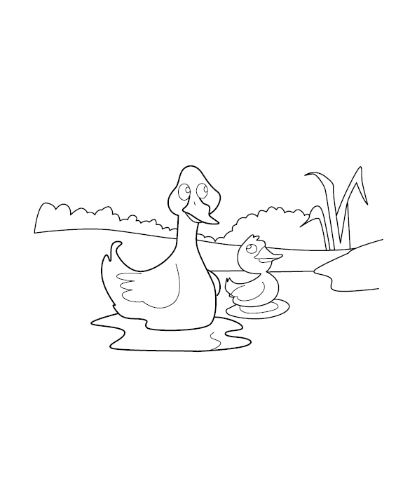 Duck Coloring Page