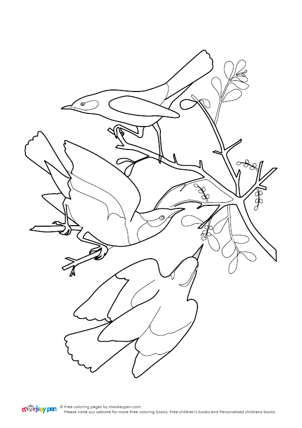 Bird Colouring Sheet