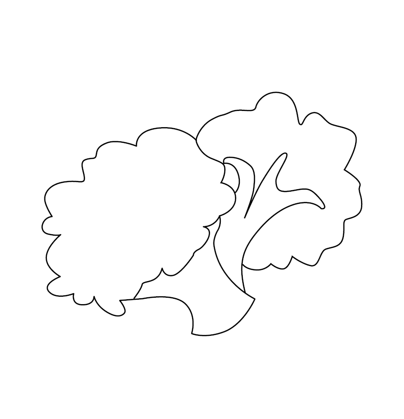 Broccoli Colouring Picture