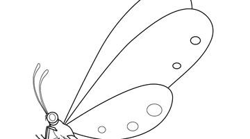 DRAGONFLY COLOURING IMAGE | Free Colouring Book for Children