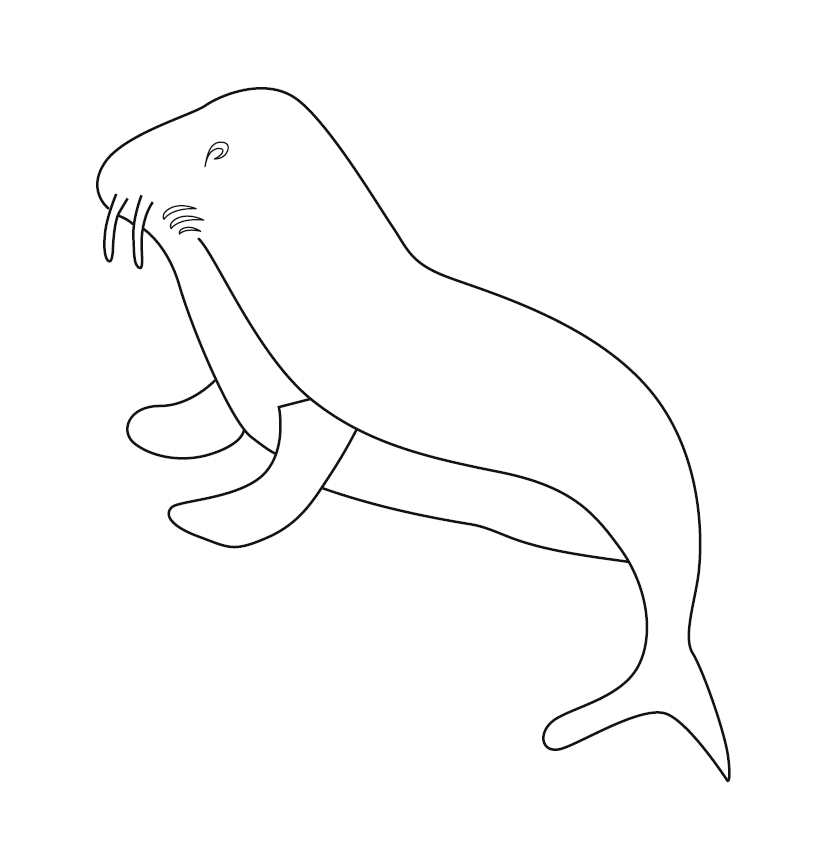 Sea Lion Colouring Page