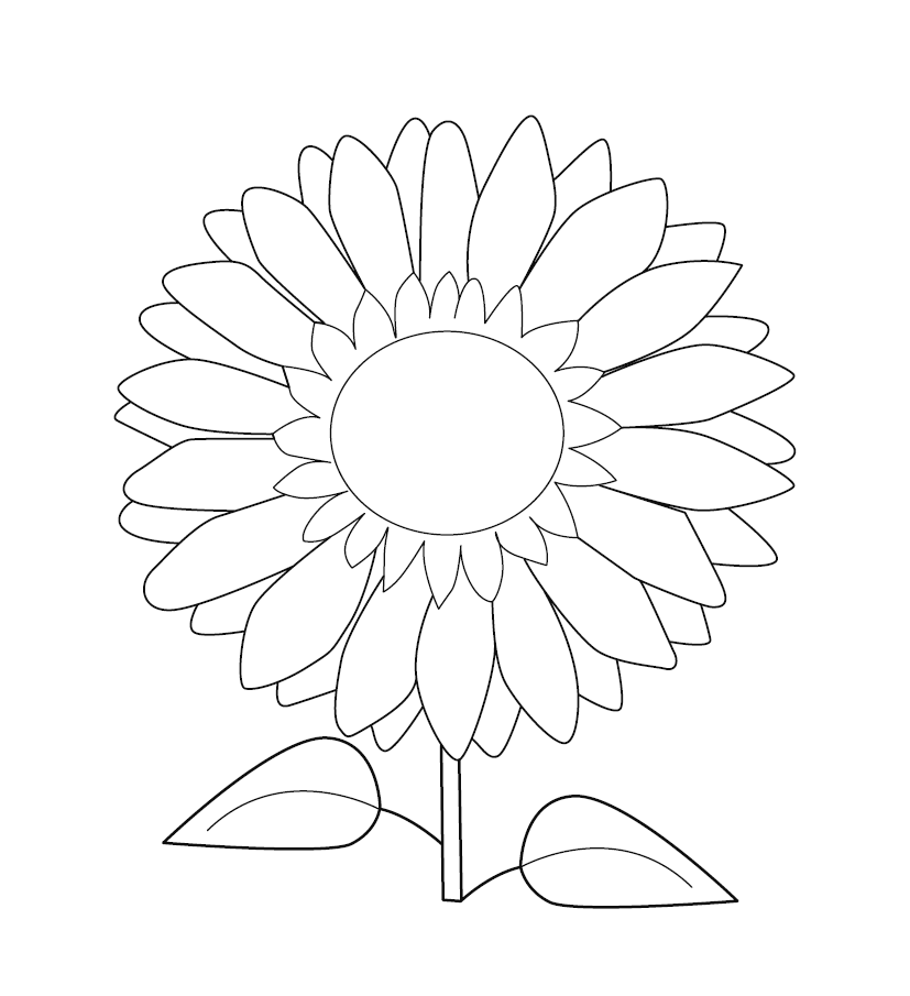 Sunflower Colouring Picture