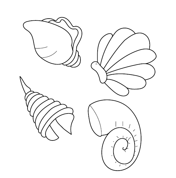 Sea Shell Colouring Page