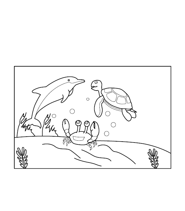 Aquatic Animals Colouring Picture