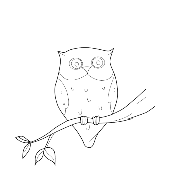 Owl Colouring Picture