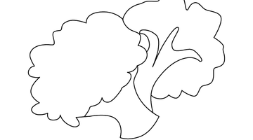 BROCCOLI COLOURING PAGE | Free Colouring Book for Children