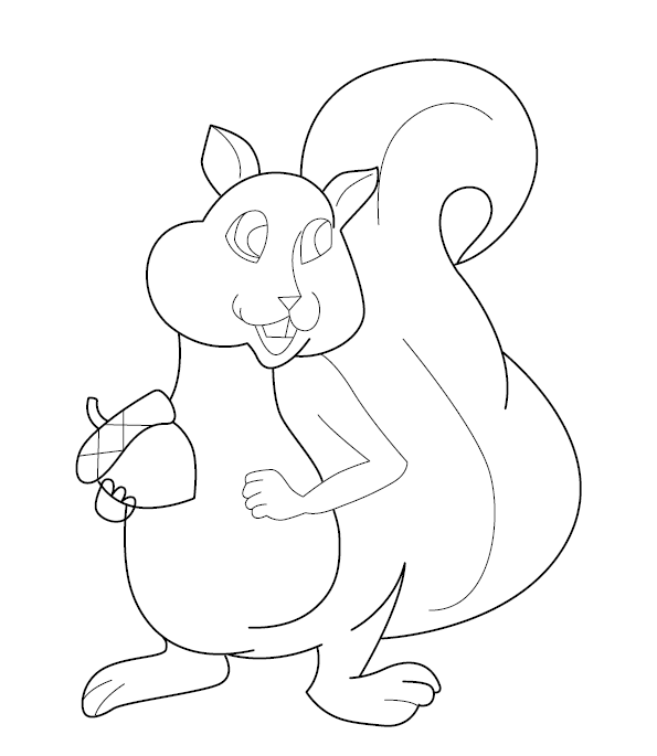 Squirrel Colouring Image for Children