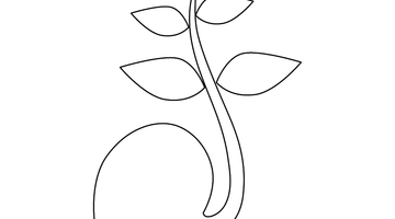 Growing Seed Colouring Picture | Free Colouring Book for Children