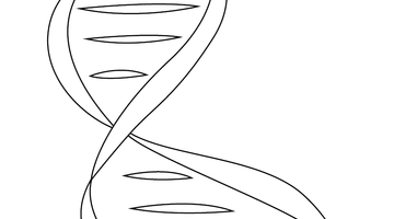 FREE DNA STRUCTURE COLOURING PICTURE | Free Colouring Book for Children