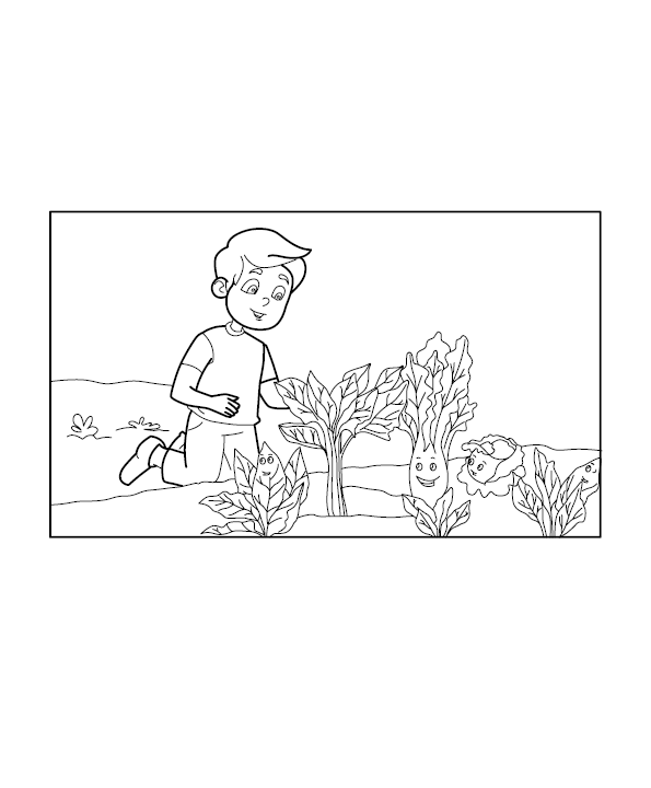 Garden Colouring Picture