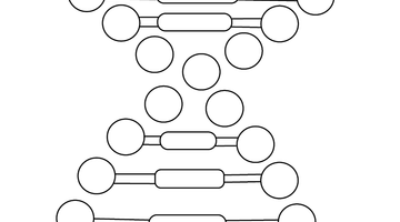 FREE DNA STRUCTURE COLOURING IMAGE | Free Colouring Book for Children