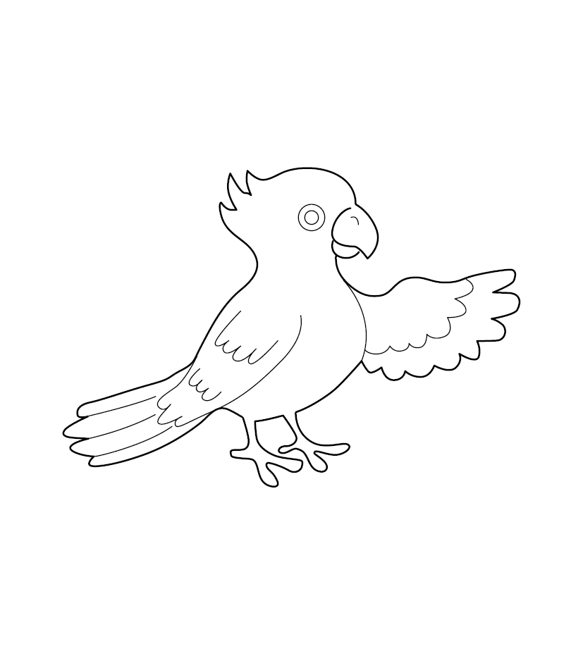 Parrot Colouring Image