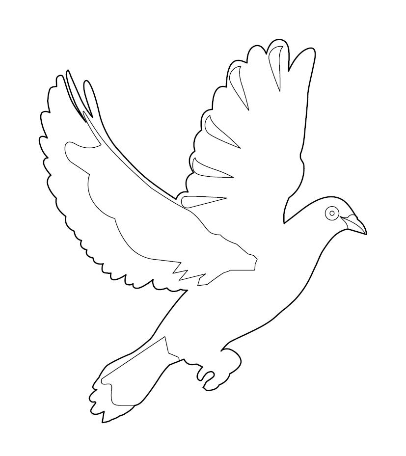 Pigeon Colouring Page