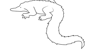 Alligator/ Crocodile Colouring Picture | Free Colouring Book for Children