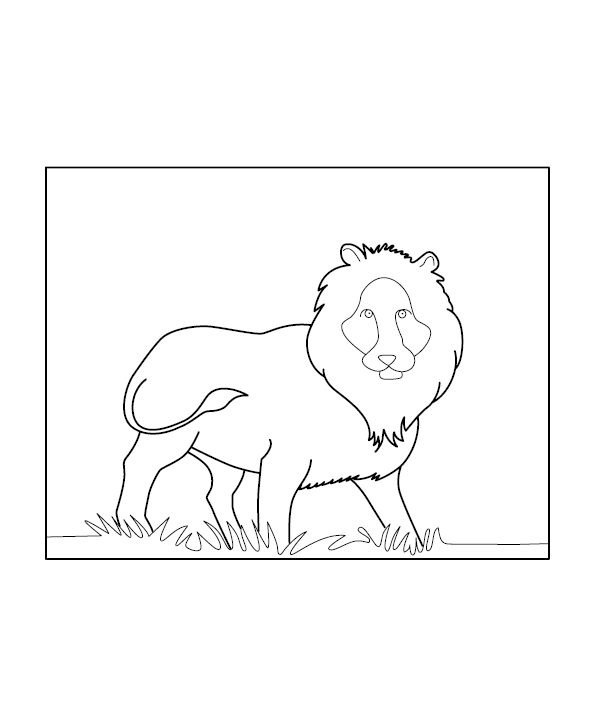 Lion Colouring Picture