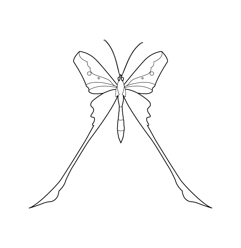 Butterfly Colouring Image for kids