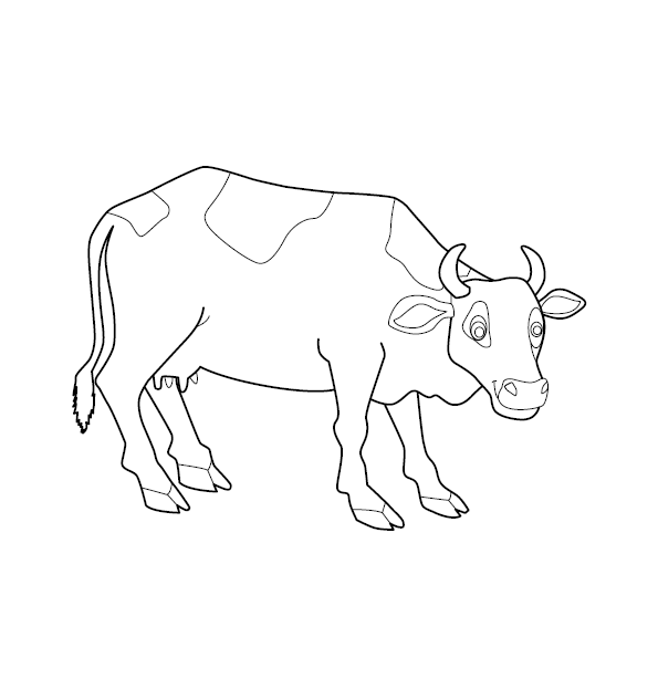 Cow Colouring Picture