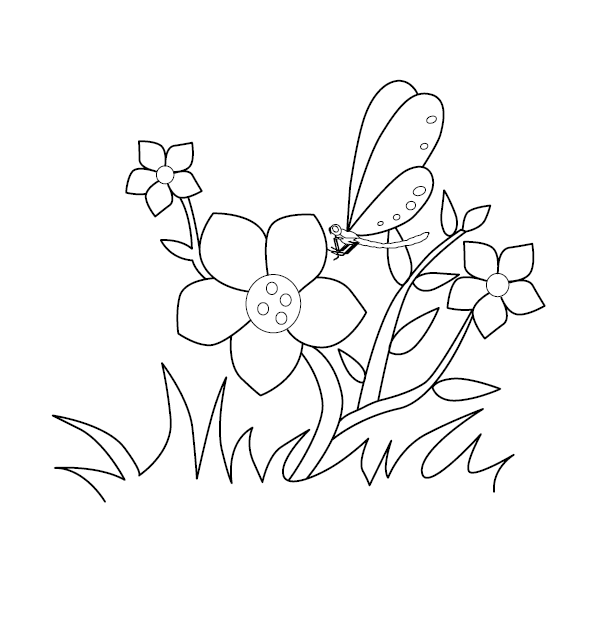 Flower Colouring Image