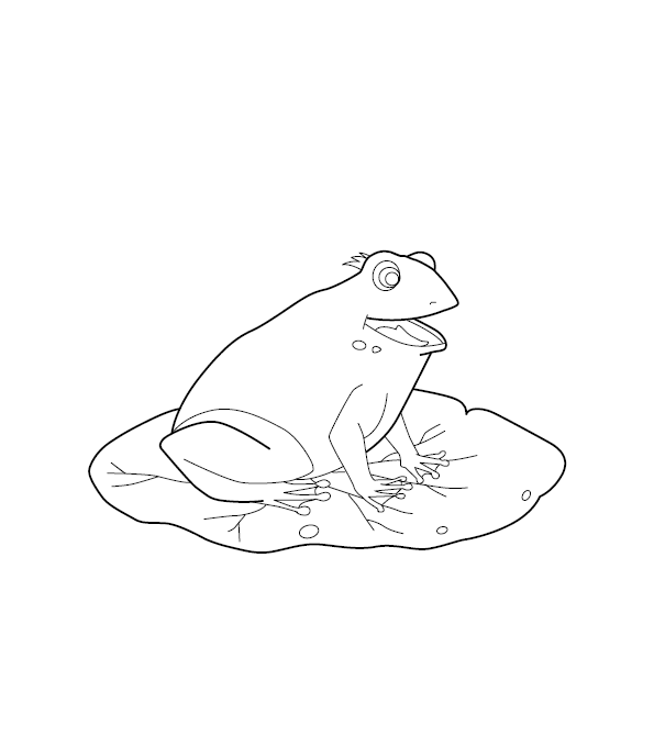 Frog Colouring Image