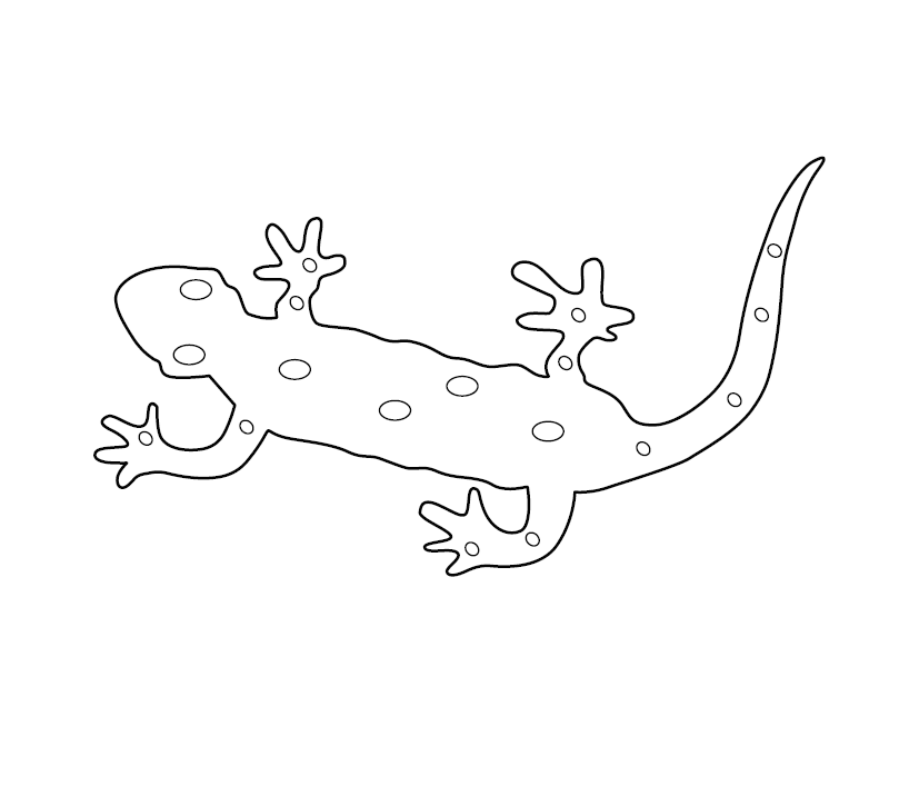 Lizard Colouring Picture