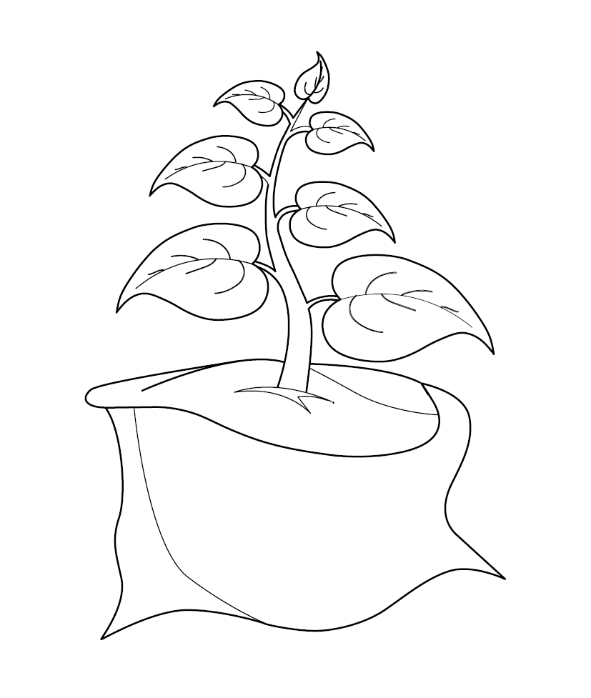 Plant Colouring Page