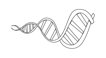 PRINTABLE DNA STRUCTURE COLOURING PICTURE | Free Colouring Book for Children