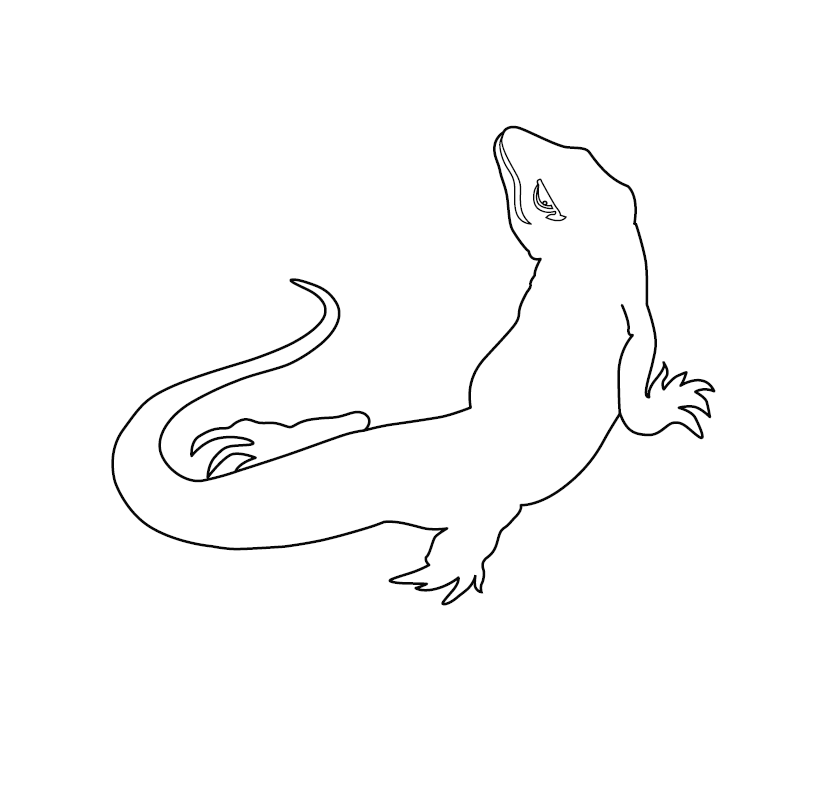 Komodo Dragon Colouring Page