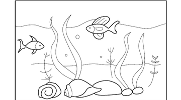 Aquarium Colouring Page | Free Colouring Book for Children