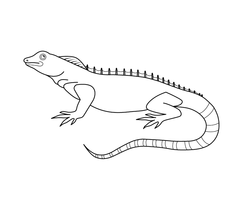 Chameleon Colouring Page