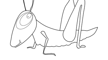 GRASSHOPPER COLOURING PICTURE | Free Colouring Book for Children