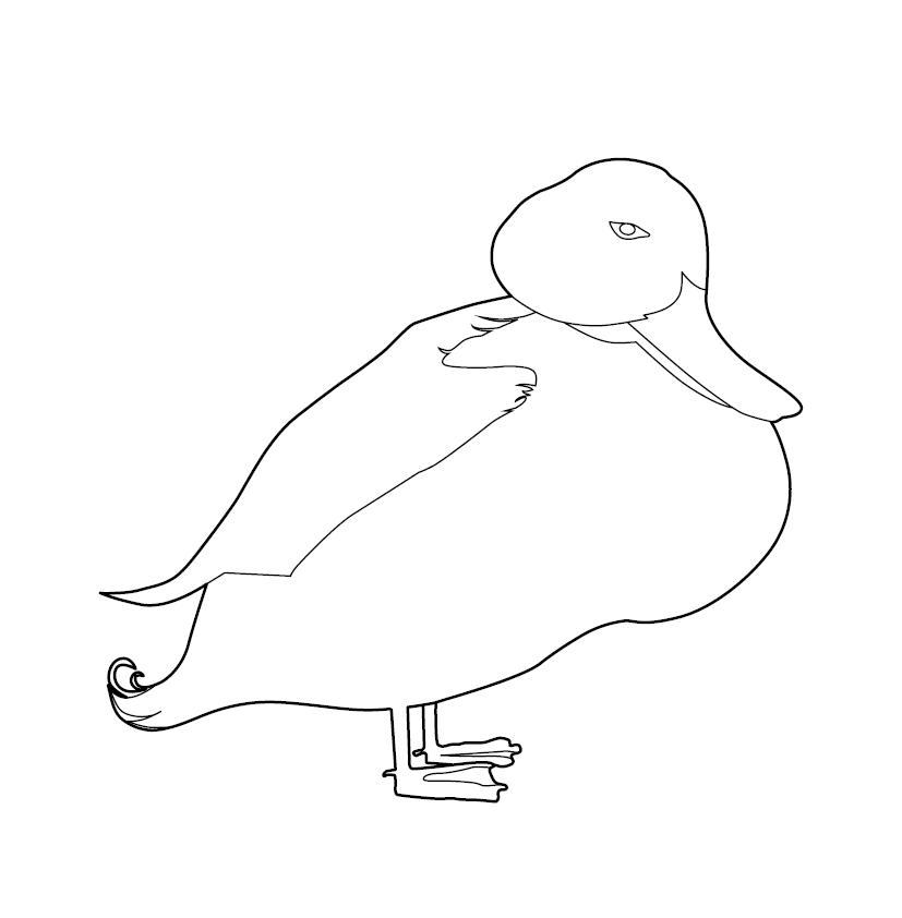 Printable Duck Colouring Picture