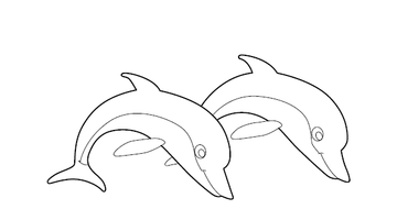 Dolphin Colouring Picture | Free Colouring Book for Children