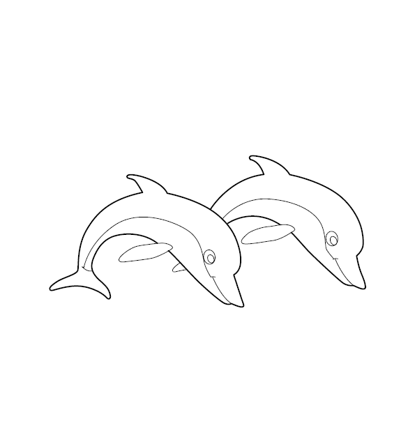 Dolphin Colouring Picture