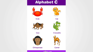 Alphabet C Chart for Kids